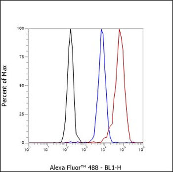 Mono-Methyl-Histone H4 (Lys12) Recombinant Rabbit Monoclonal Antibody
