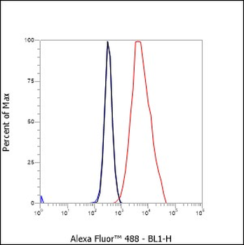 CD66a/c/e Recombinant Mouse Monoclonal Antibody