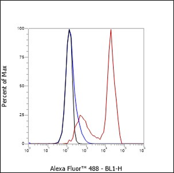 CD43 Recombinant Mouse Monoclonal Antibody