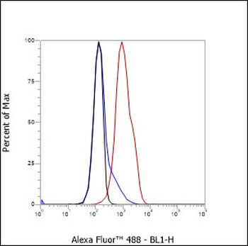 CD148 Recombinant Mouse Monoclonal Antibody