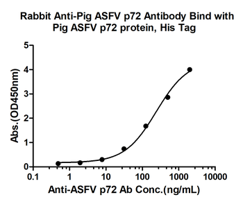 ASFV p72 Rabbit Polyclonal Antibody