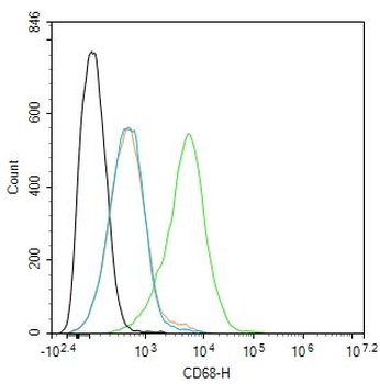 CD68 Recombinant Rabbit Monoclonal Antibody