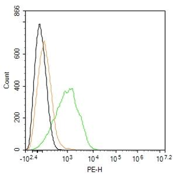Human CD41 Mouse Monoclonal Antibody (PE)