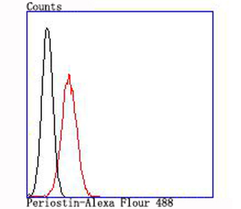 Periostin Recombinant Rabbit Monoclonal Antibody