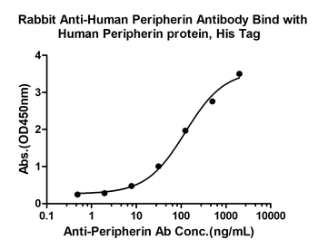 Peripherin Rabbit Polyclonal Antibody