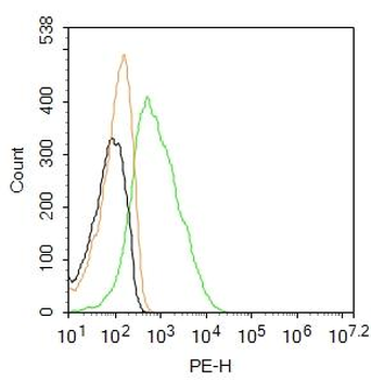 Bax Rabbit Polyclonal Antibody (PE)
