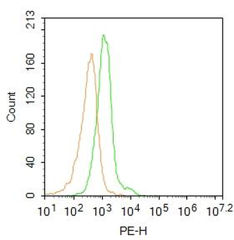CD19 Rabbit Polyclonal Antibody (PE)