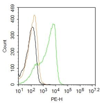 CD4 Rabbit Polyclonal Antibody (PE)