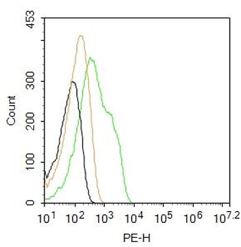 EGFR Rabbit Polyclonal Antibody (PE)