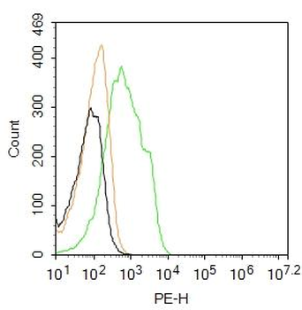 EGFR Rabbit Polyclonal Antibody (PE)