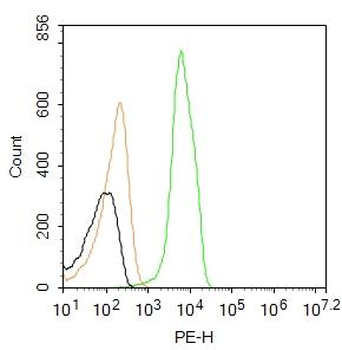Integrin beta 1 Rabbit Polyclonal Antibody (PE)