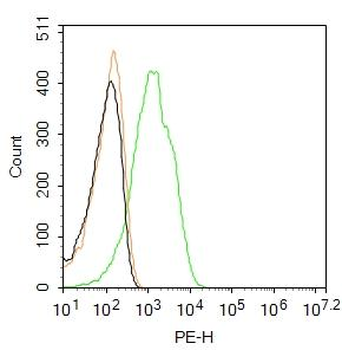Integrin beta 1 Rabbit Polyclonal Antibody (PE)