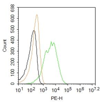 Integrin beta 1 Rabbit Polyclonal Antibody (PE)