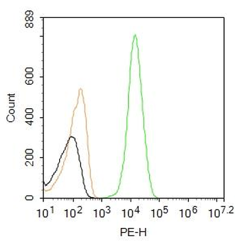 Leptin receptor Rabbit pAb, PE conjugated