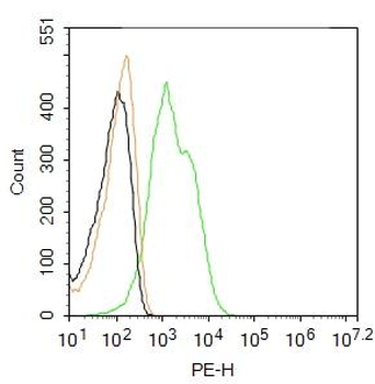 Leptin receptor Rabbit pAb, PE conjugated