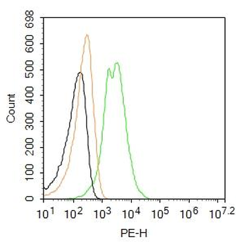 VWF Rabbit Polyclonal Antibody (PE)