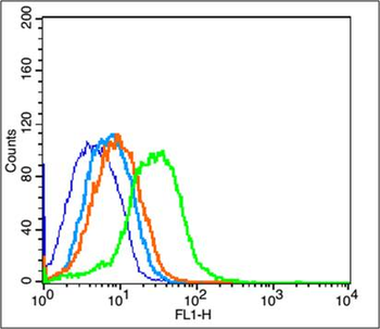 CD44 Rabbit Polyclonal Antibody