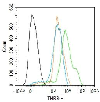 THRB Mouse Monoclonal Antibody