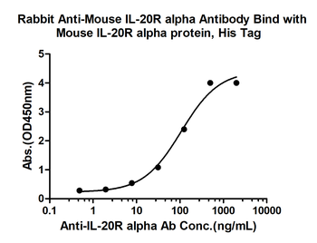 IL-20R alpha Rabbit Polyclonal Antibody