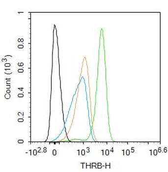 THRB Rabbit Polyclonal Antibody