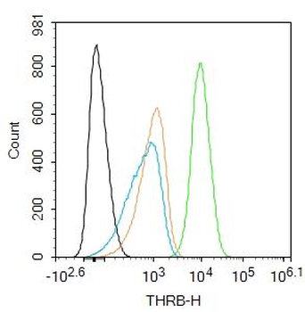 THRB Rabbit Polyclonal Antibody