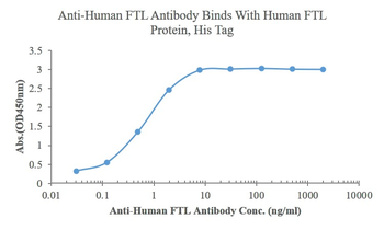 Ferritin Light Chain Rabbit Polyclonal Antibody