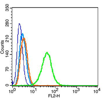 ATP5A Rabbit Polyclonal Antibody