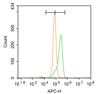Aurora B Rabbit Polyclonal Antibody