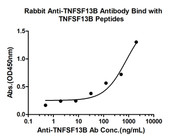 TNFSF13B Rabbit Polyclonal Antibody