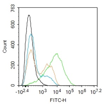 CLEC7A Rabbit Polyclonal Antibody