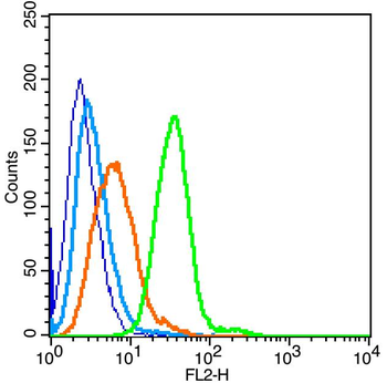 CD26 Rabbit Polyclonal Antibody