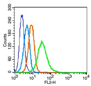 IL-2R gamma Rabbit Polyclonal Antibody