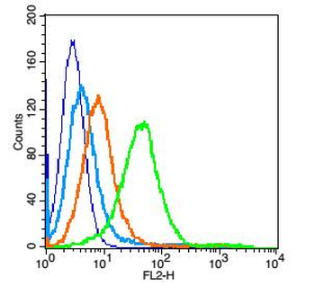 CD9 Rabbit Polyclonal Antibody