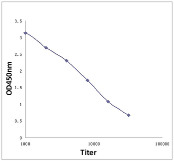 CD171/L1CAM Rabbit Polyclonal Antibody