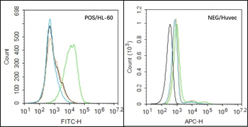 NCR3 Rabbit Polyclonal Antibody