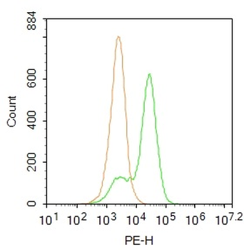 NCR3 Rabbit Polyclonal Antibody