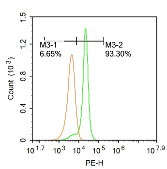 CYP1A2 Rabbit Polyclonal Antibody