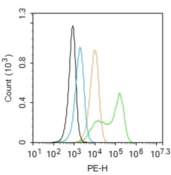 Dysferlin Rabbit Polyclonal Antibody