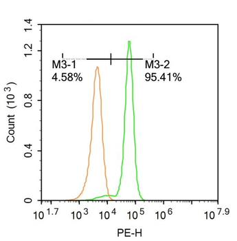 Phospho-eIF4E (Ser209) Rabbit Polyclonal Antibody