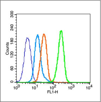 Estrogen Receptor alpha Rabbit Polyclonal Antibody