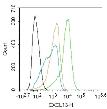 CXCL13 Rabbit Polyclonal Antibody
