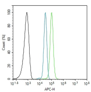 GLK Rabbit Polyclonal Antibody