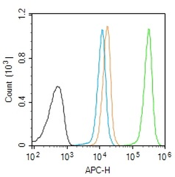 H2AX Rabbit Polyclonal Antibody