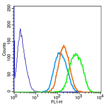 HER2 Rabbit Polyclonal Antibody