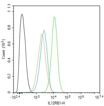 IL12RB1 Rabbit Polyclonal Antibody