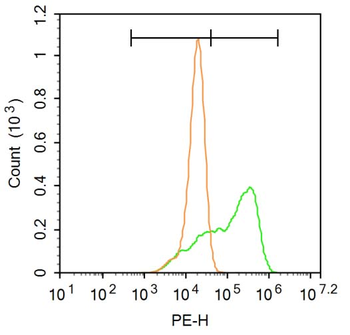 IL-15 Rabbit Polyclonal Antibody