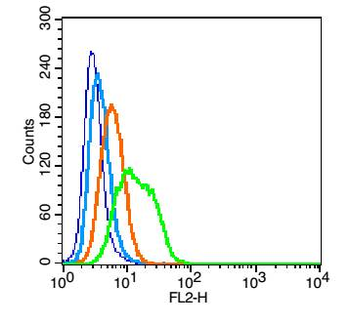 Integrin alpha 1 Rabbit Polyclonal Antibody