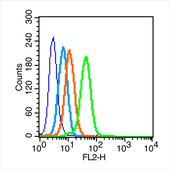 Integrin Alpha V + Beta 1 Rabbit Polyclonal Antibody
