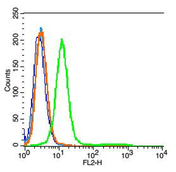 IL-1R2 Rabbit Polyclonal Antibody