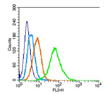 LDHA Rabbit Polyclonal Antibody